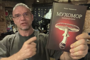 Epifancev muhomor microdosing 300x200 Мухоморы Спб