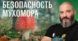 Mikhail Vishnevskiy 300x160 Мухоморы Спб